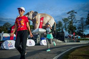 BIB: 
                            <button type="button" onclick="openModal(26541608)" class="btn btn-primary btn-sm float-right btn-popup" data-toggle="modal" data-target=".modal-high-quality">
                        <i class="fas fa-shopping-cart"></i> Add to Cart
                    </button>
                                            <button type="button" onclick="isThisMe(26541608, true)" class="btn btn-success btn-sm float-right btn-popup btn-isme hidden" data-toggle="tooltip" data-placement="bottom" title="นี่คือรูปของคุณใช่ไหม คลิกที่นี่เพื่อเอาเข้าอัลบั้ม">
                        <i class="fas fa-plus"></i> Add to album
                    </button>
                    <button type="button" onclick="isThisMe(26541608, false)" class="btn btn-warning btn-sm float-right btn-popup btn-isnotme hidden">
                        <i class="fas fa-ban"></i> Remove from album
                    </button>